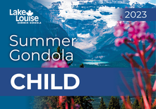 Child Gondola Ticket (6-12)