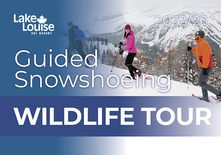 Wildlife Snowshoe Tour