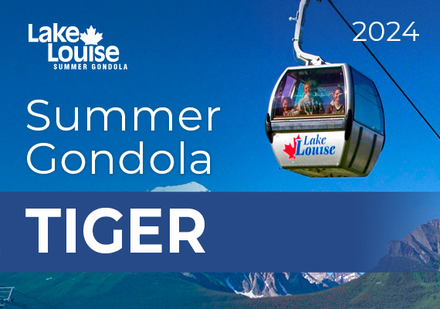 Free Tiger Gondola Ticket (5 & under)