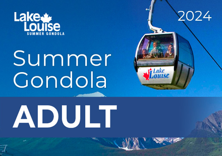 Adult Gondola Ticket (18-64)