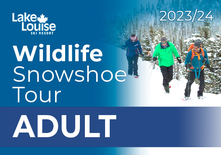 Adult Wildlife Snowshoe Tour (18-64)