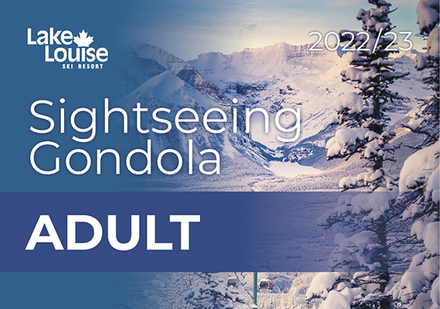 Adult Sightseeing Gondola Ticket (18+)
