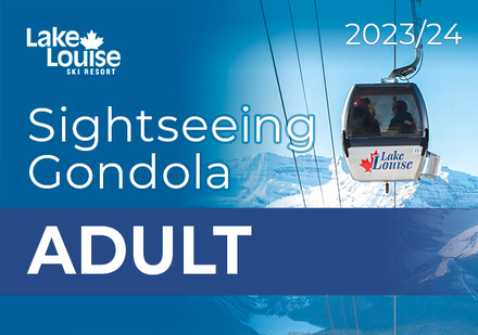 Adult Sightseeing Gondola Ticket  (18-64)