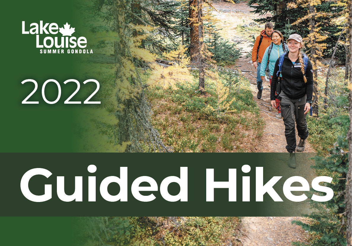 Guided Hikes