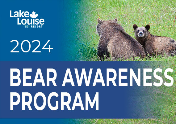 Get Your “Bear”Ings: Bear Awareness Program